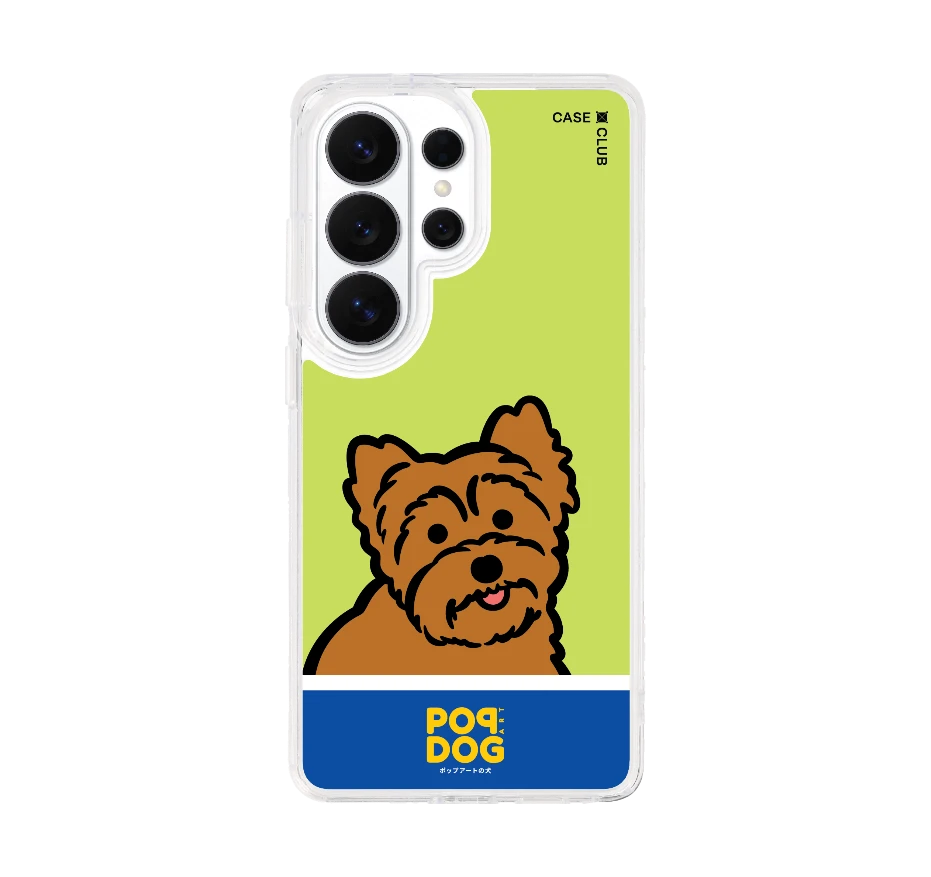 join the club ยอร์คเชียร์ เทอร์เรีย