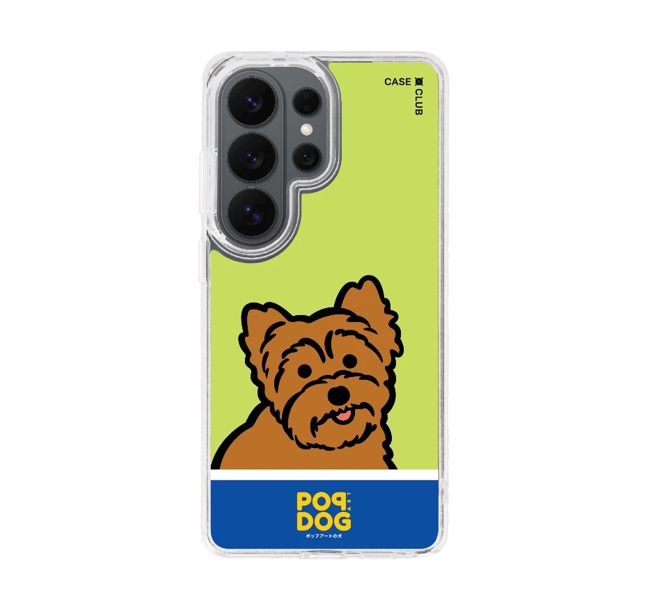 join the club ยอร์คเชียร์ เทอร์เรีย