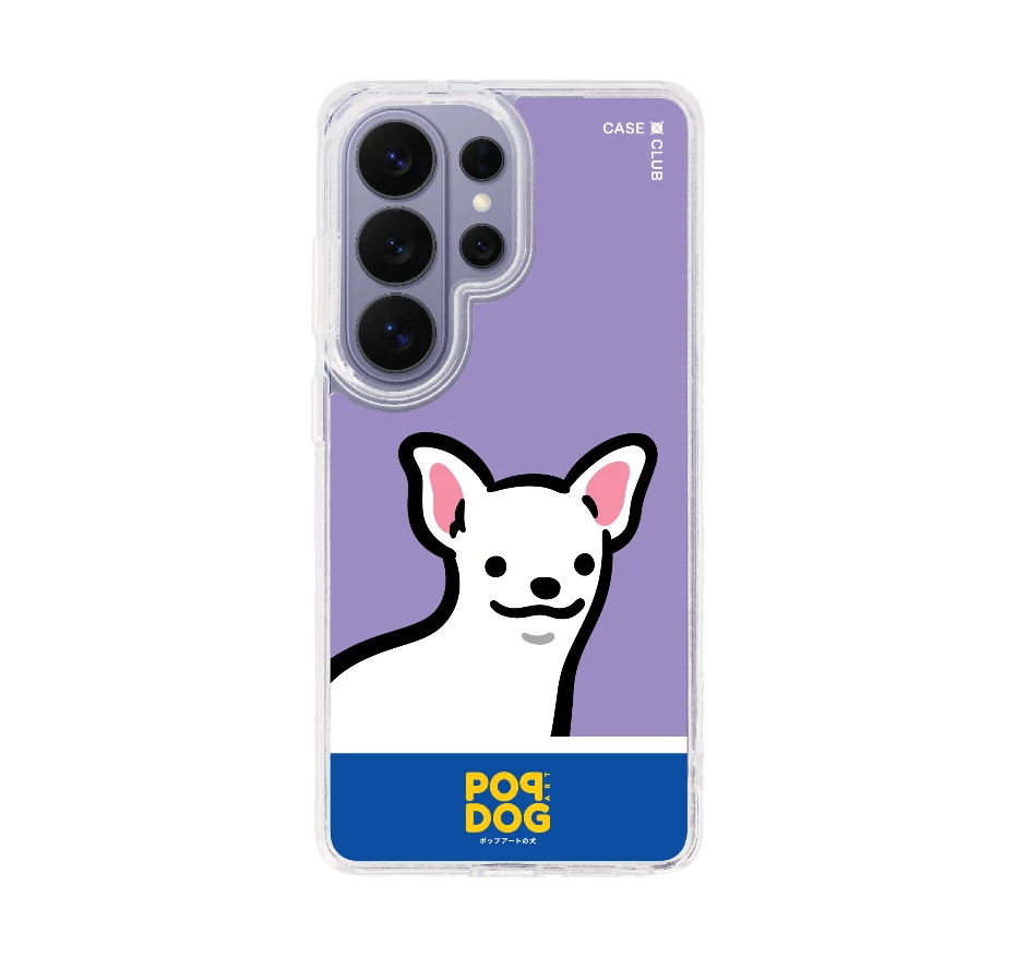 join the club ชิวาว่า