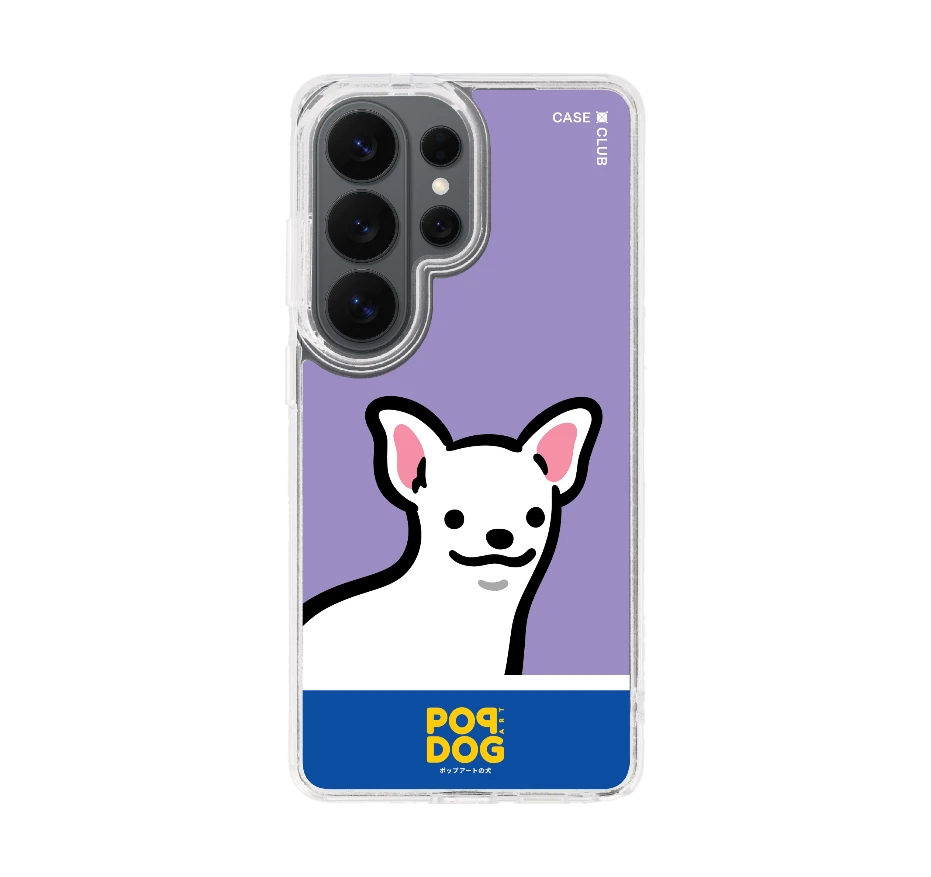 join the club ชิวาว่า