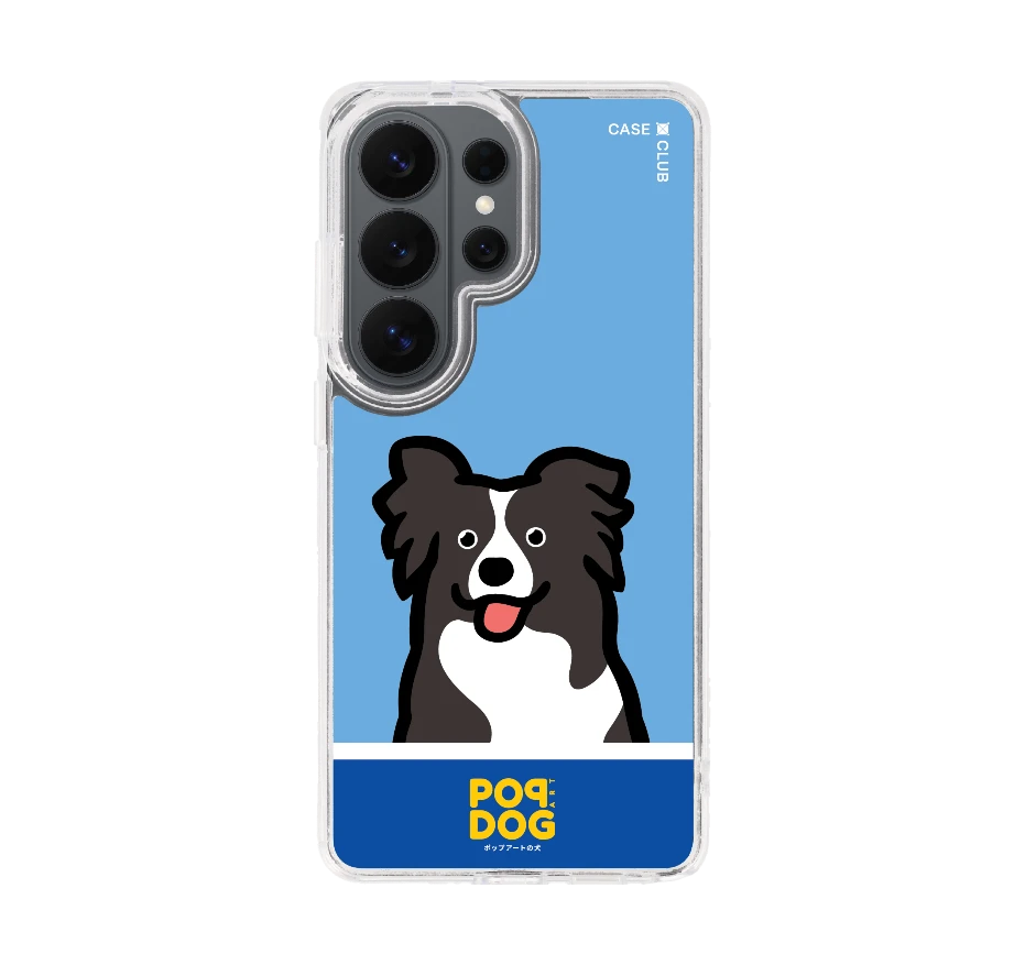 join the club บอร์เดอร์ คอลลี่