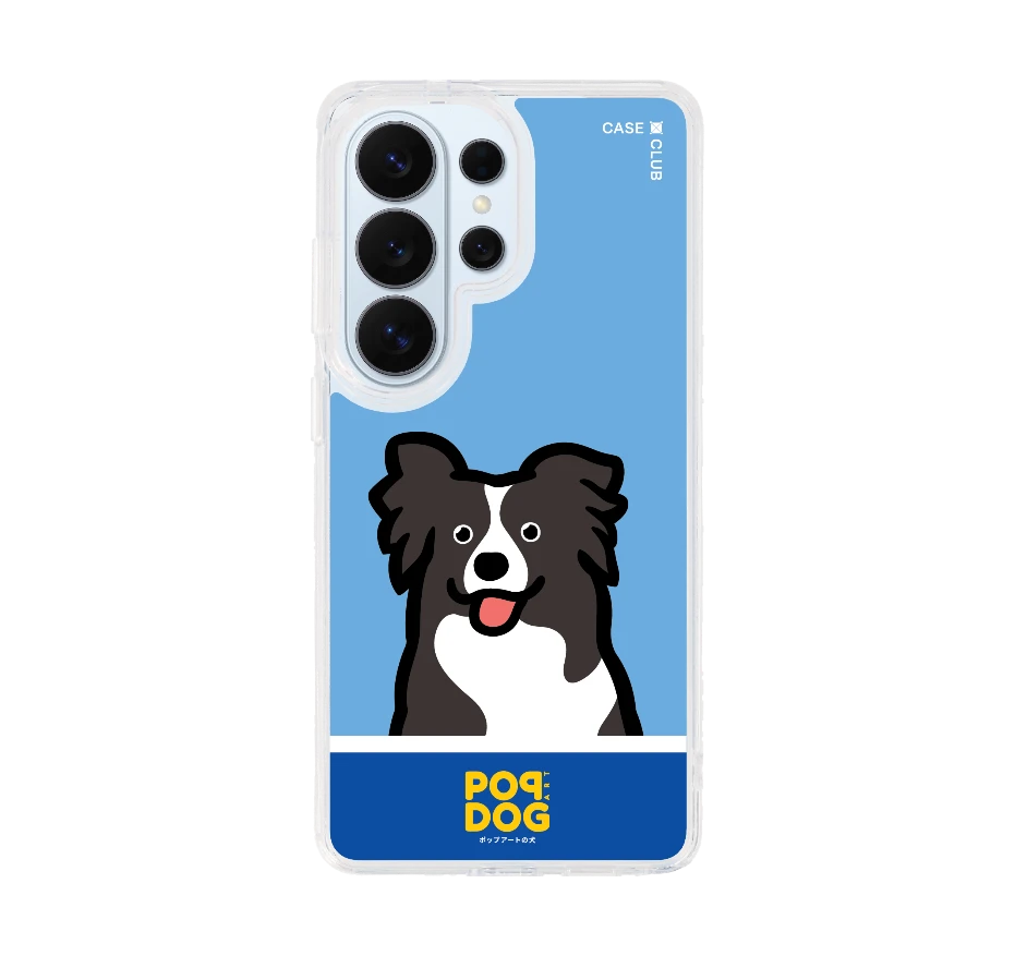 join the club บอร์เดอร์ คอลลี่