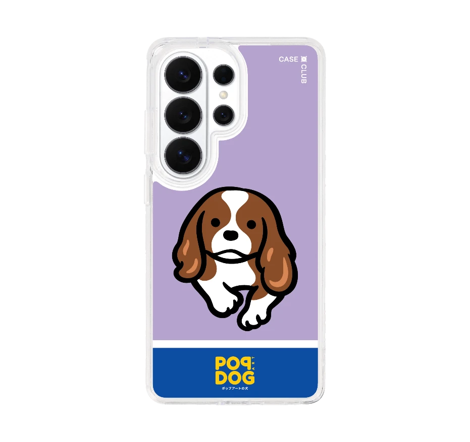 join the club คาวาเลียร์ คิง ชาลส์ สแปเนียล