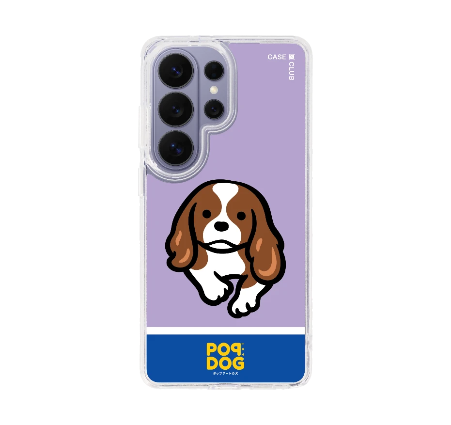 join the club คาวาเลียร์ คิง ชาลส์ สแปเนียล