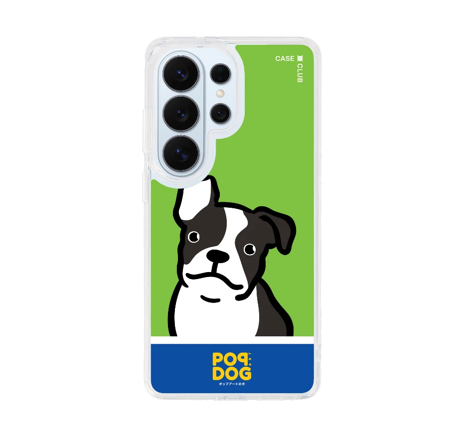 join the club บอสตัน เทอร์เรียร์