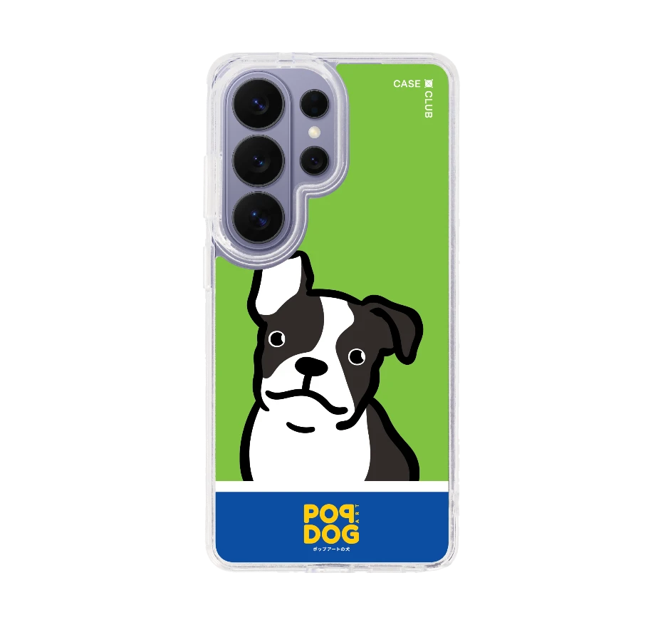 join the club บอสตัน เทอร์เรียร์