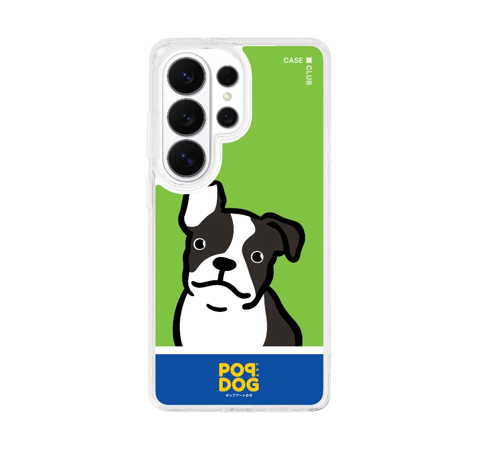 join the club บอสตัน เทอร์เรียร์