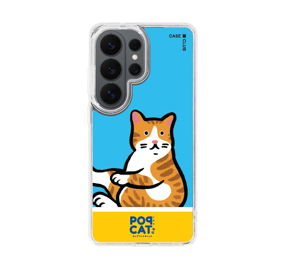 join the club แมวส้ม