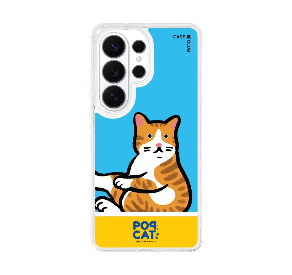 join the club แมวส้ม