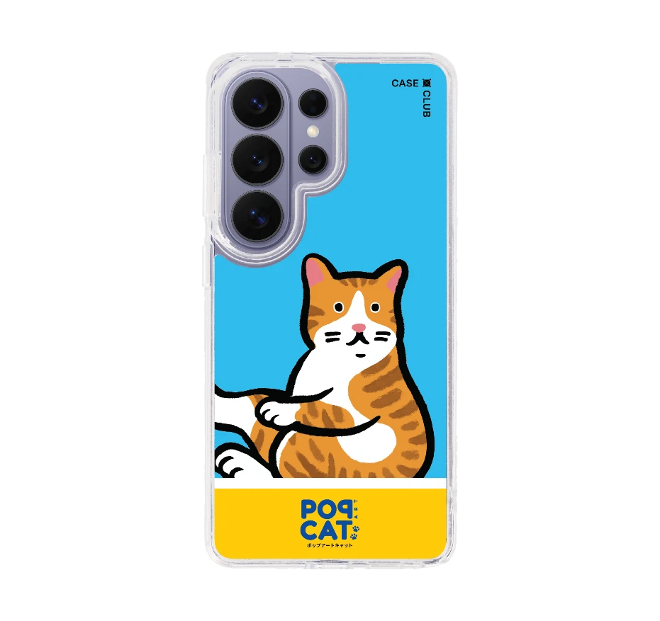 join the club แมวส้ม