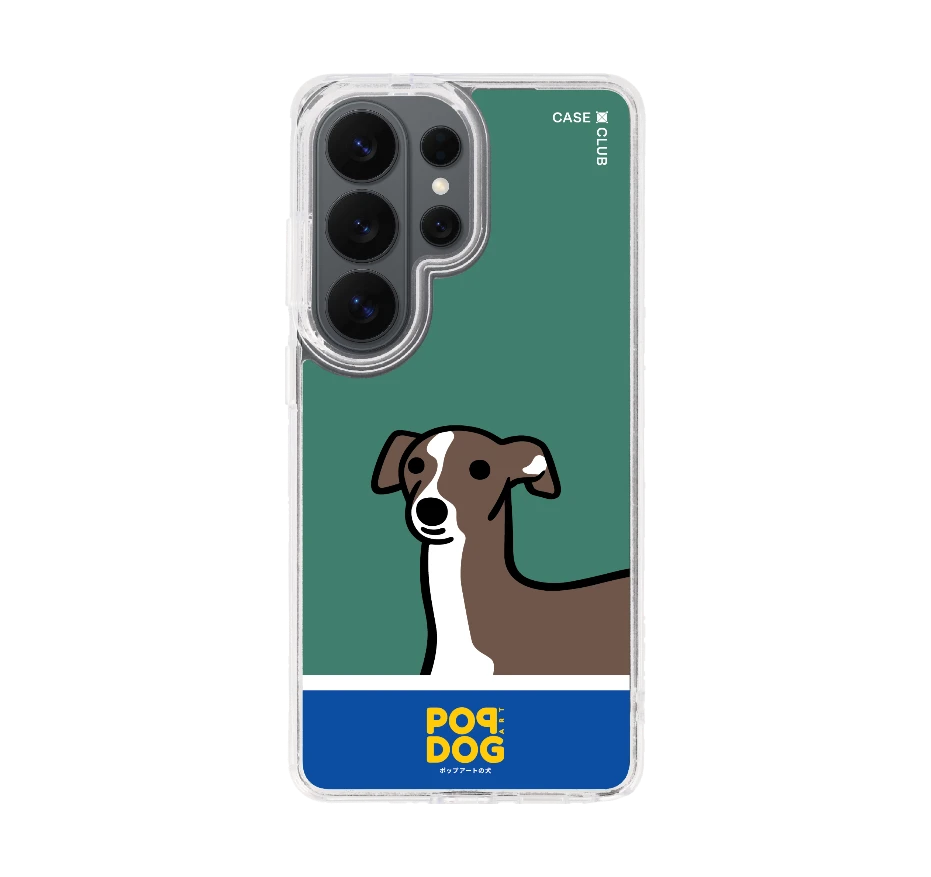 join the club อิตาเลี่ยน เกรย์ฮาวด์