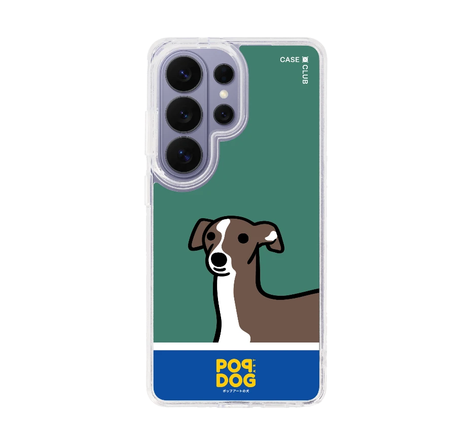 join the club อิตาเลี่ยน เกรย์ฮาวด์