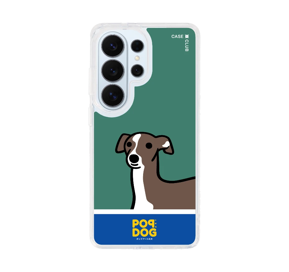 join the club อิตาเลี่ยน เกรย์ฮาวด์