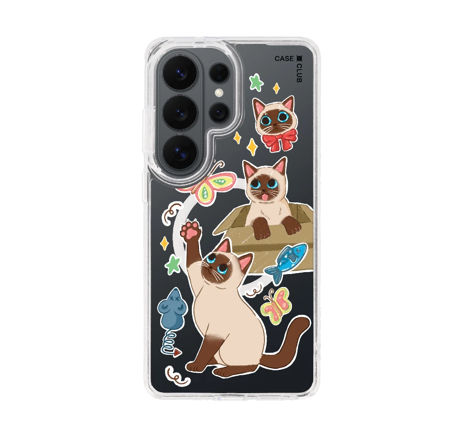 3 แมวป่วน