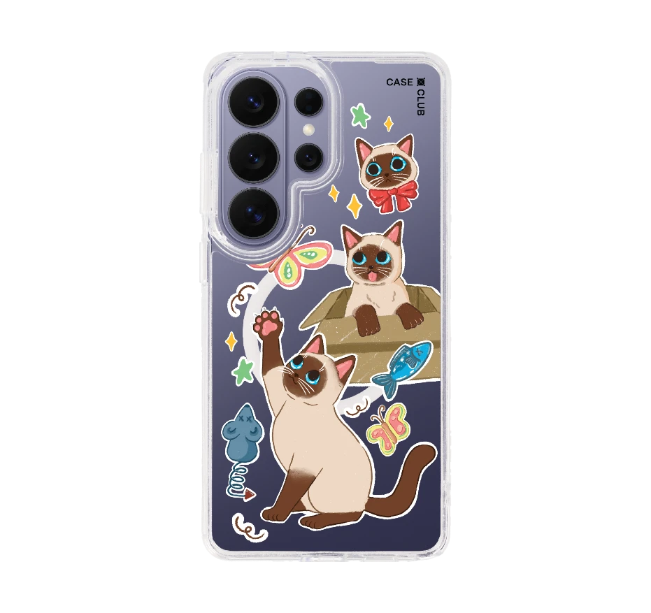 3 แมวป่วน