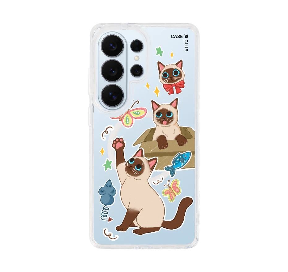 3 แมวป่วน