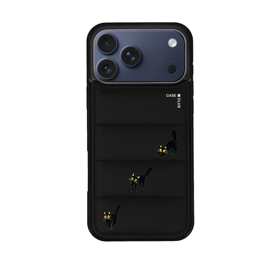 แมวดำนำโชค