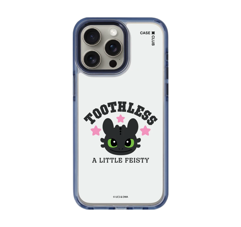 httyd toothless little feisty