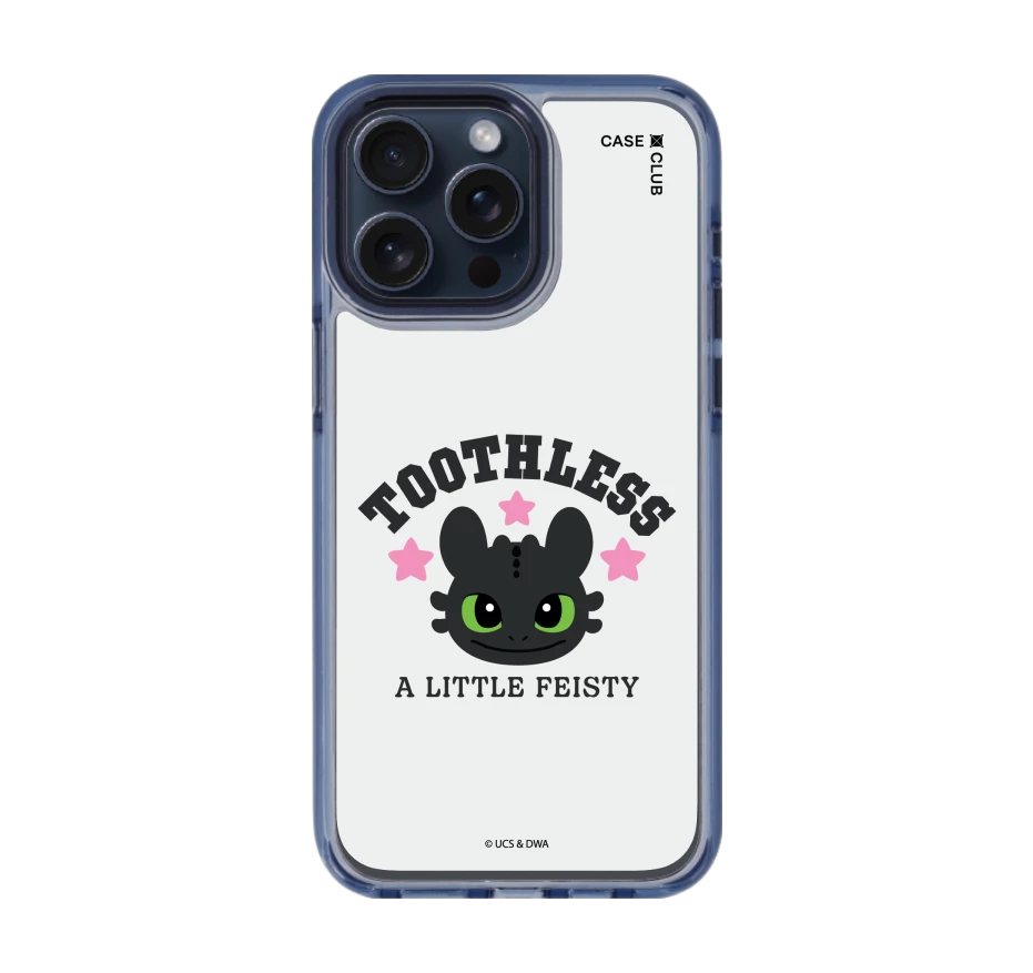 httyd toothless little feisty