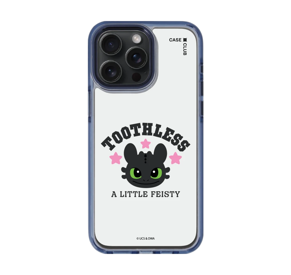 httyd toothless little feisty