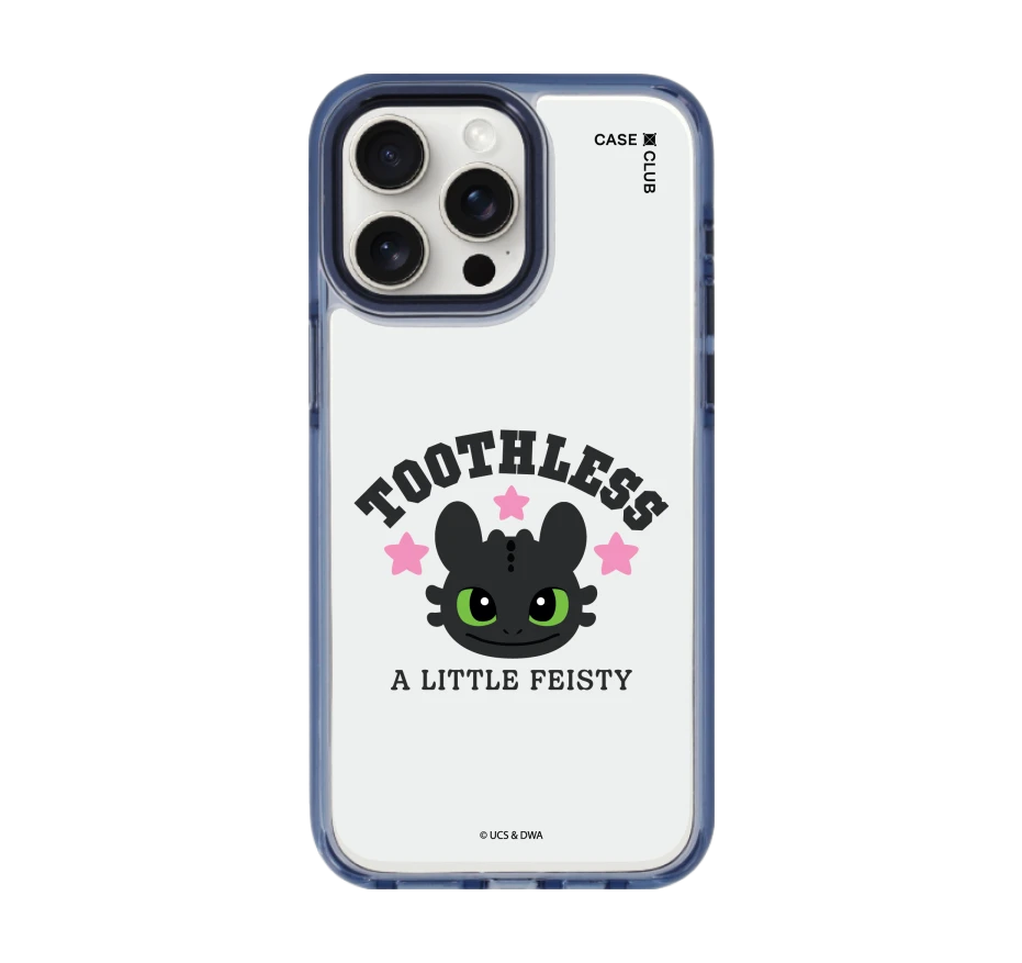 httyd toothless little feisty