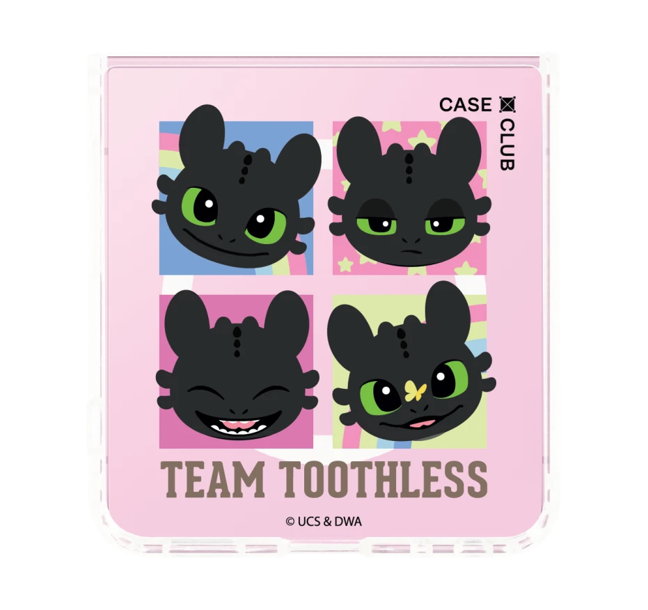 httyd team toothless