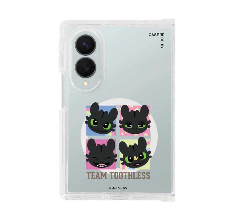 httyd team toothless