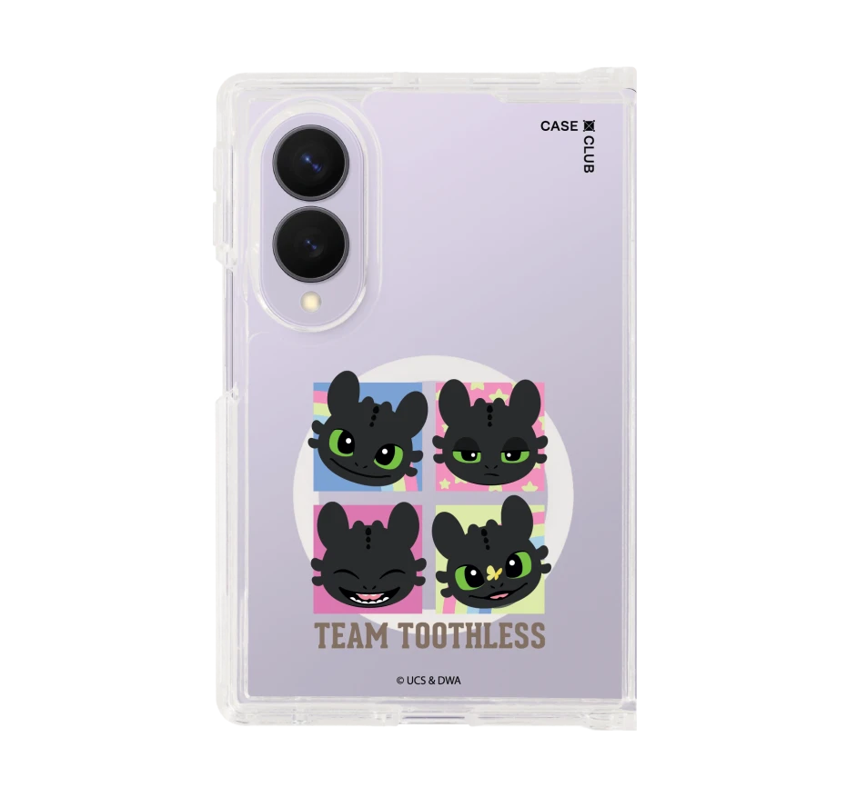 httyd team toothless
