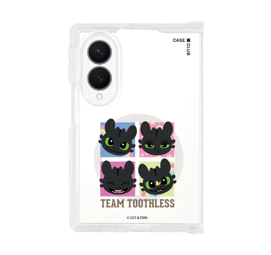 httyd team toothless