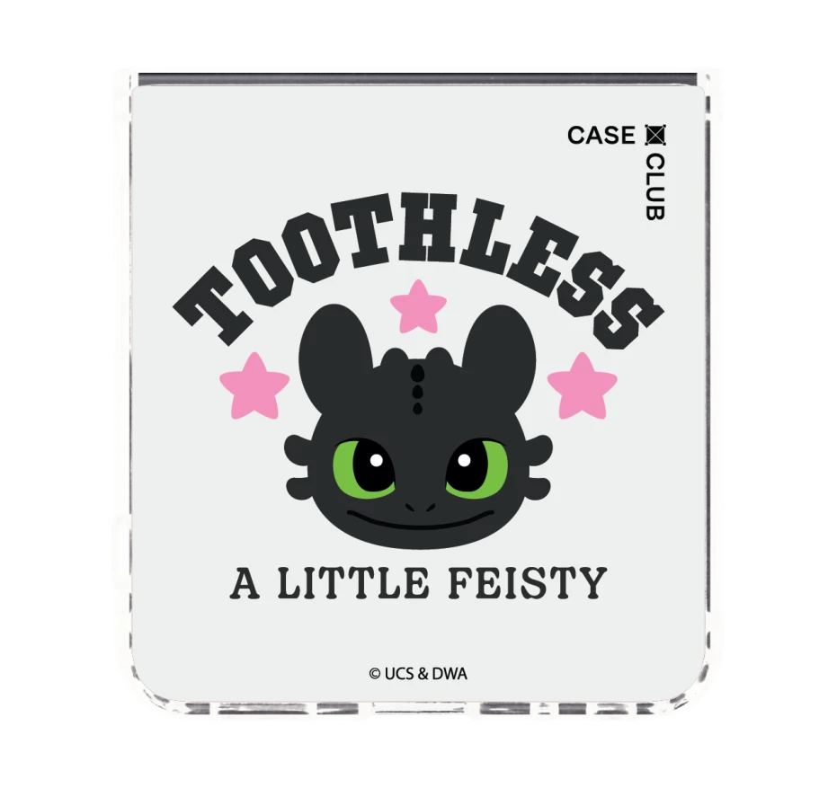 httyd toothless little feisty
