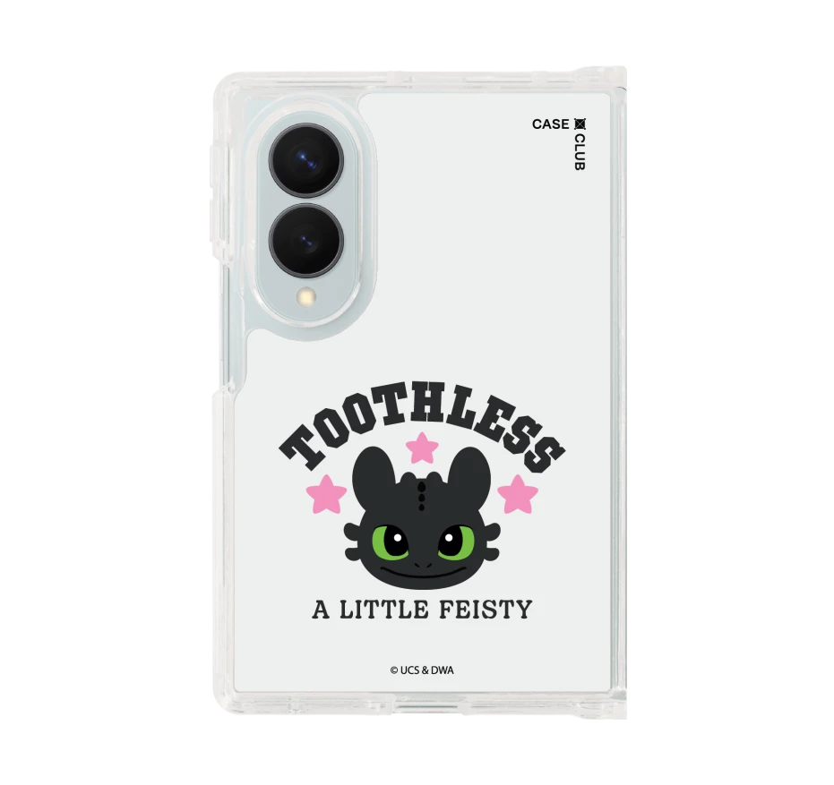httyd toothless little feisty
