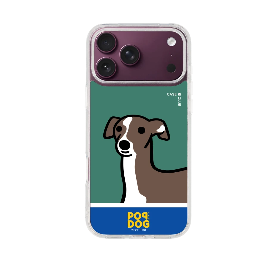 join the club italian greyhound