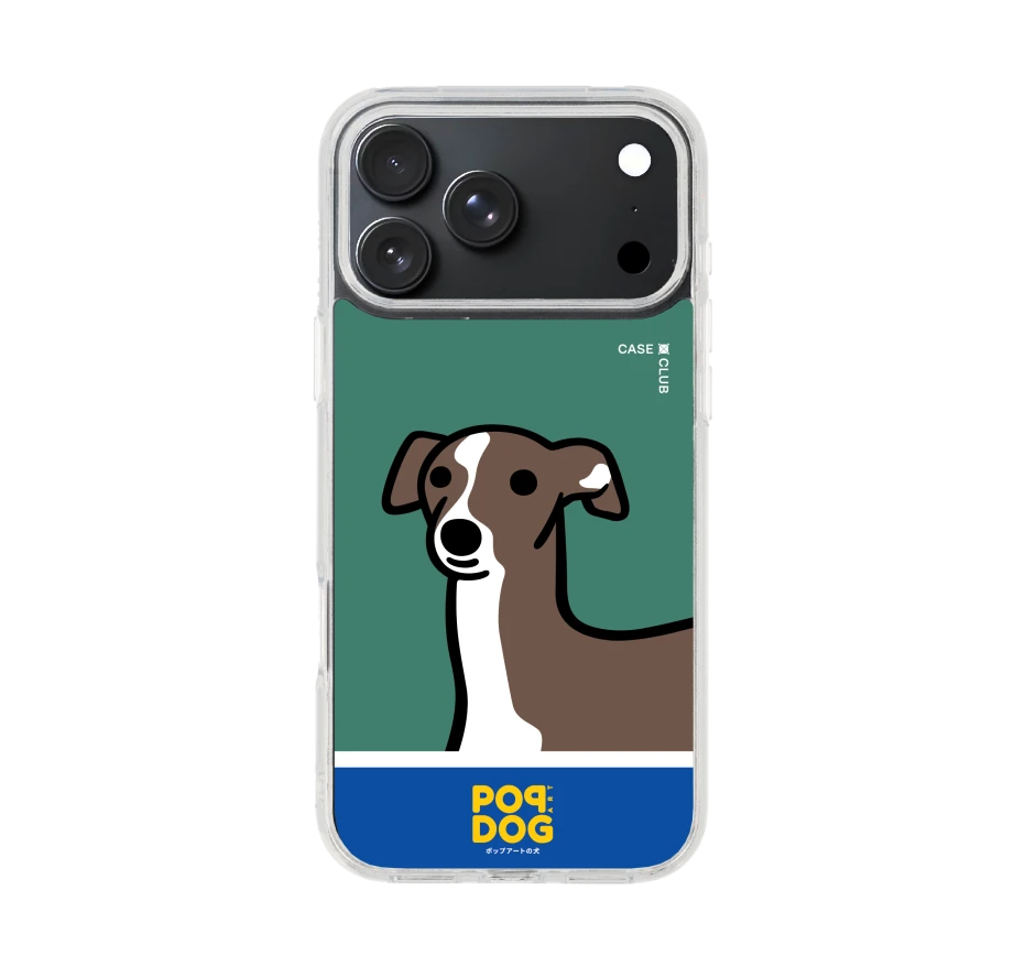 join the club italian greyhound