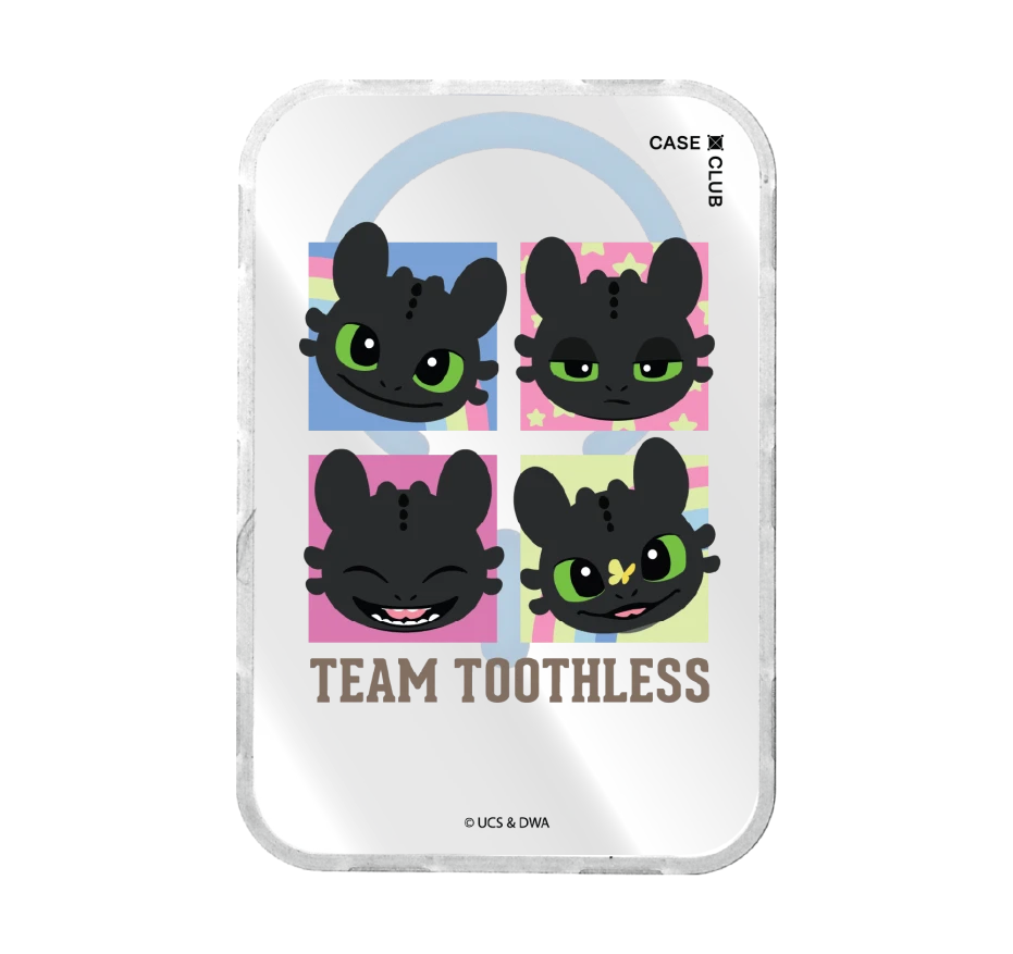 httyd team toothless