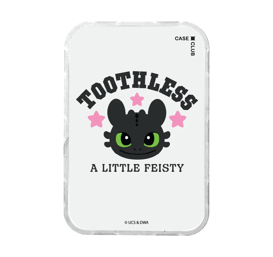 httyd toothless little feisty