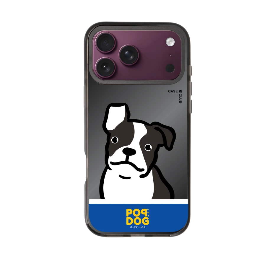 join the club boston terrier