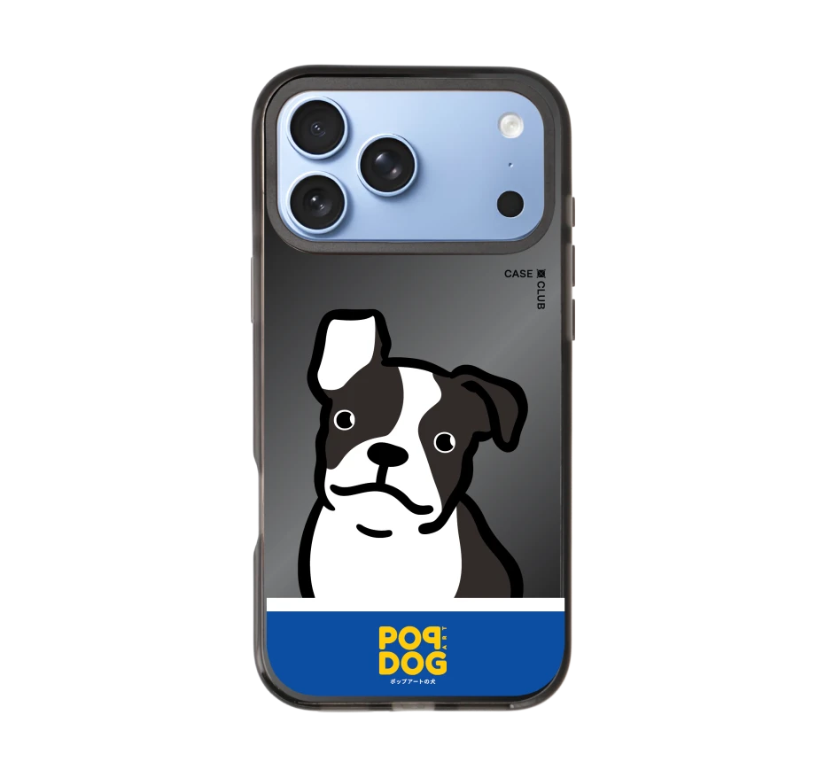 join the club boston terrier
