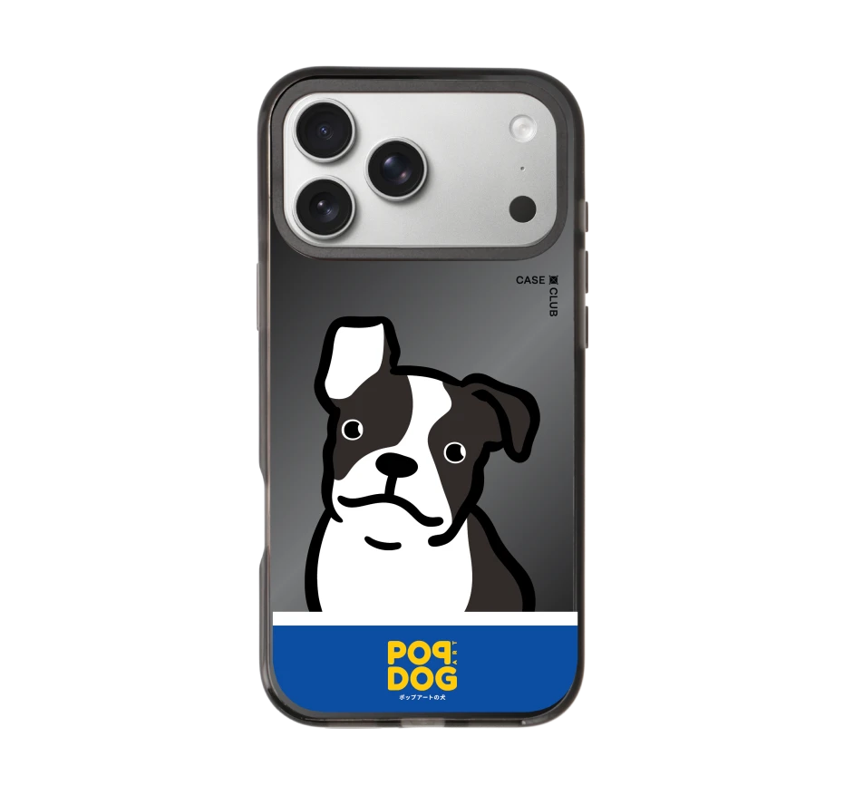 join the club boston terrier