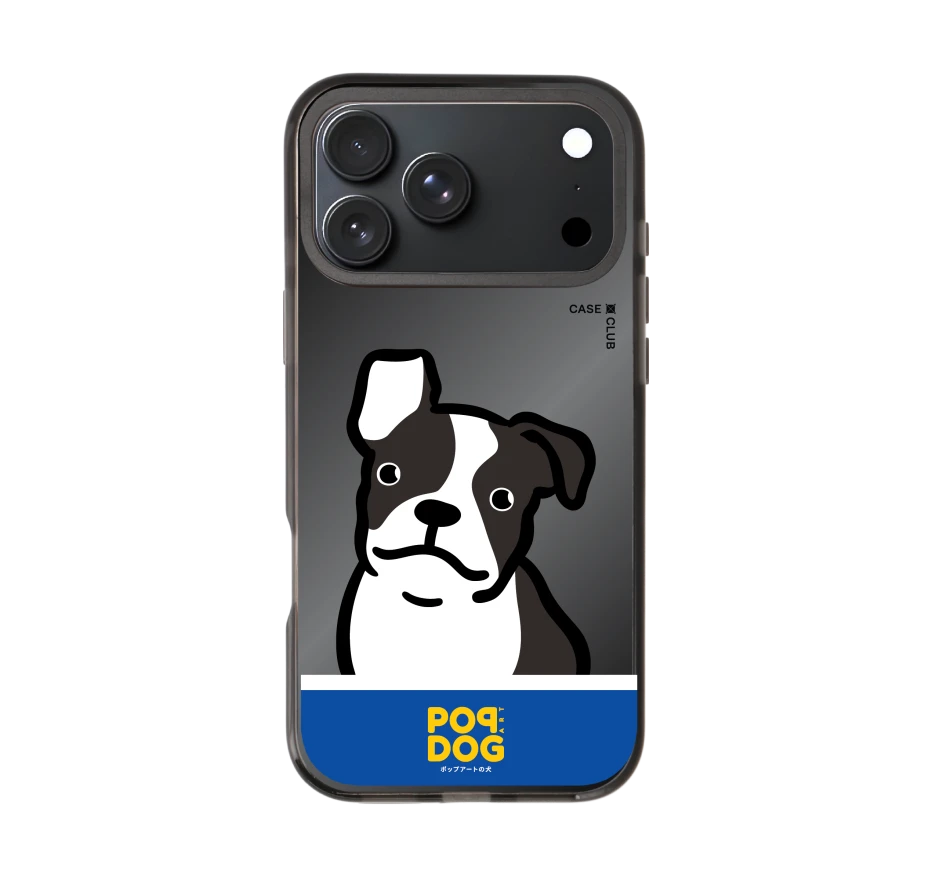 join the club boston terrier