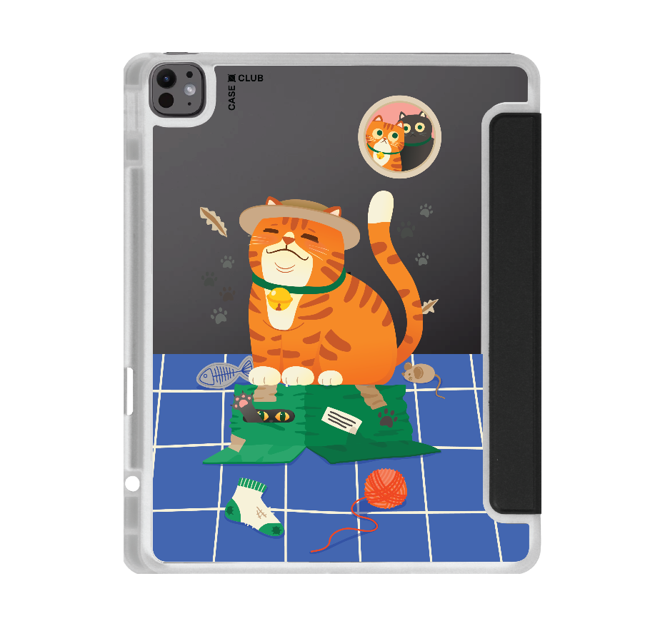orange cat on the box