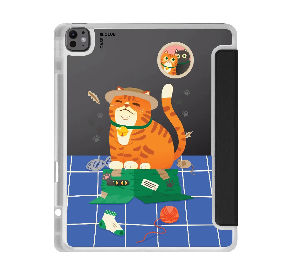 orange cat on the box