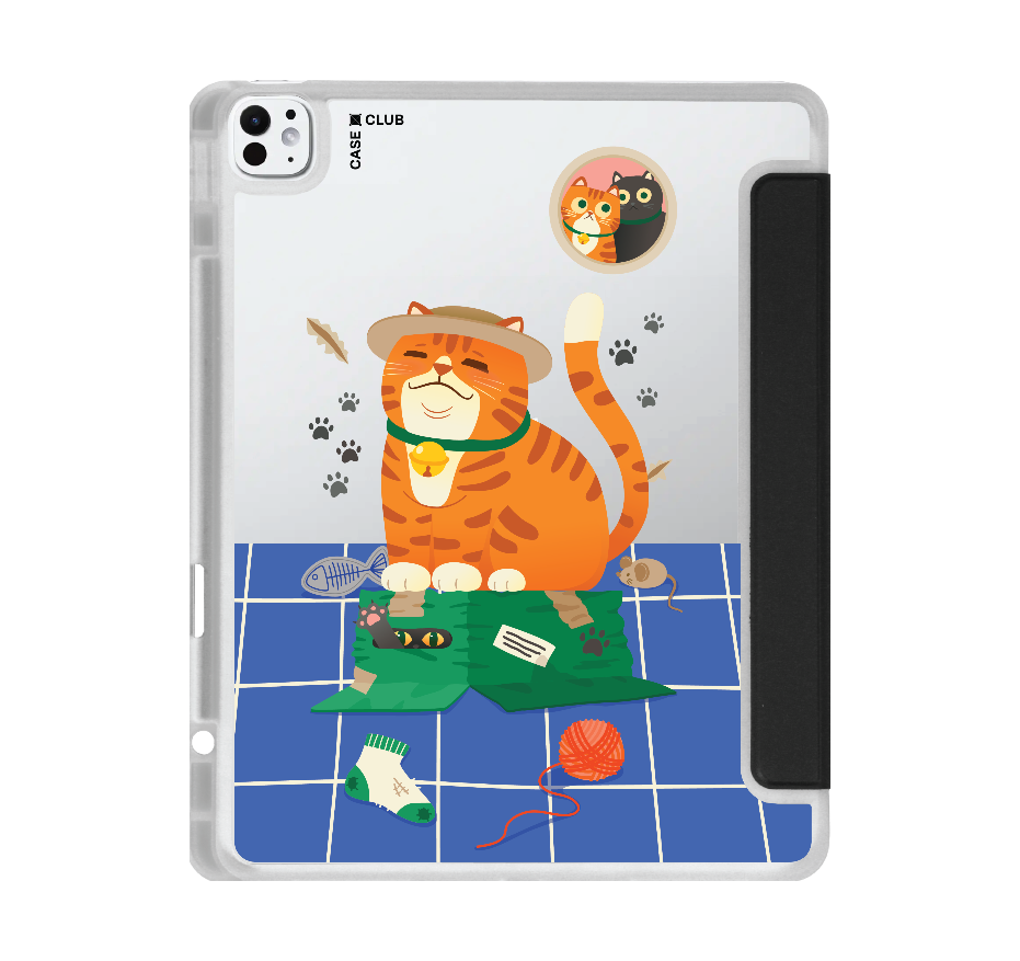 orange cat on the box