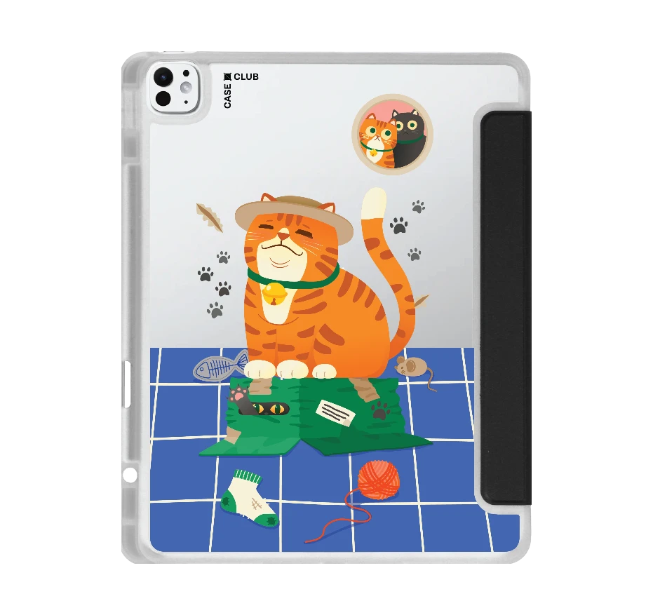 orange cat on the box