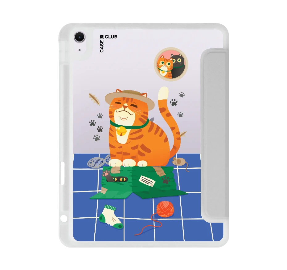 orange cat on the box