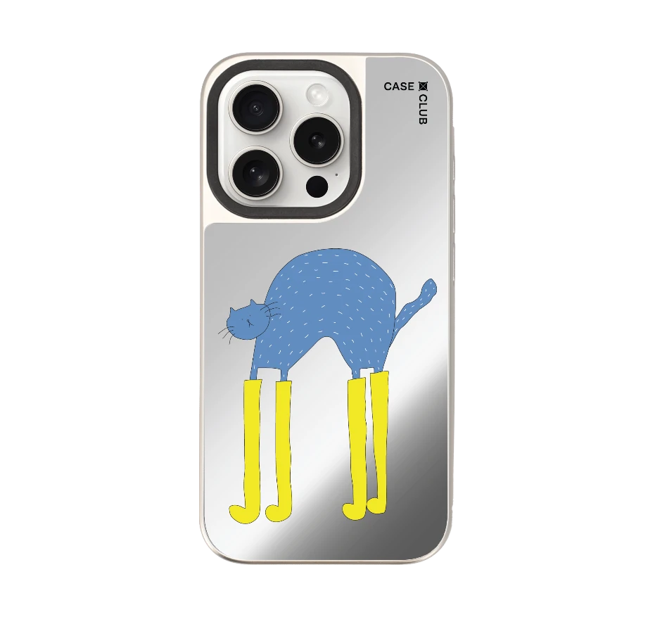 แมวฟ้ากับบูทซิ่งคู่ใจ