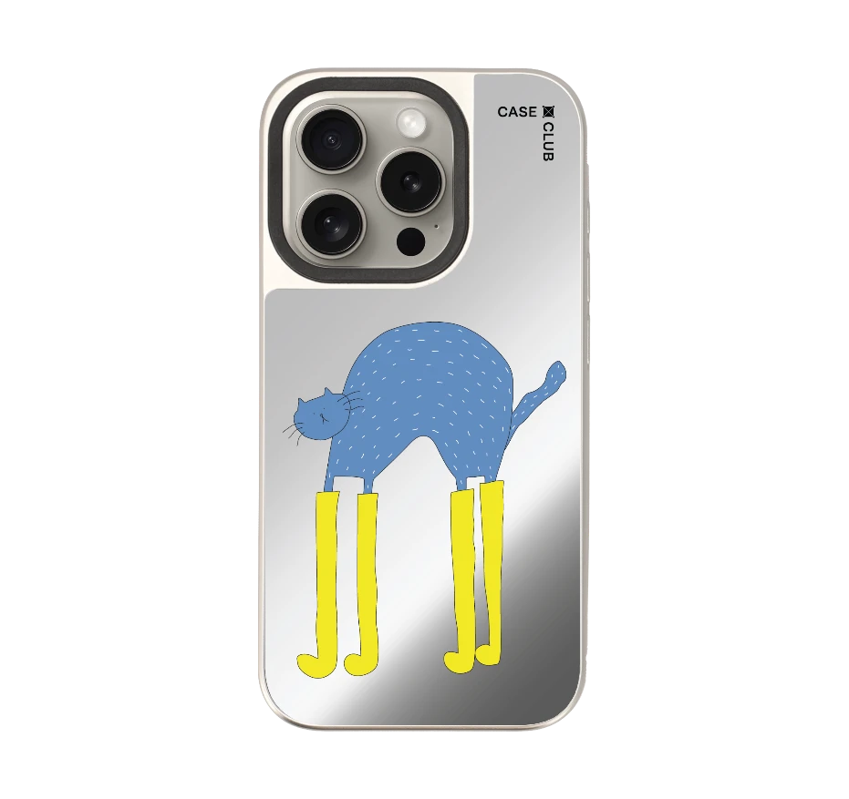 แมวฟ้ากับบูทซิ่งคู่ใจ