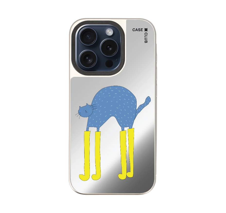 แมวฟ้ากับบูทซิ่งคู่ใจ