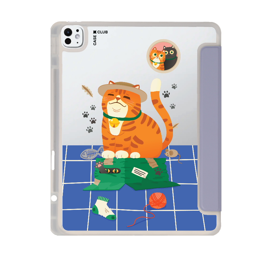 orange cat on the box