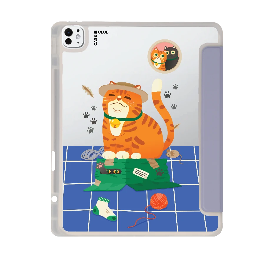 orange cat on the box