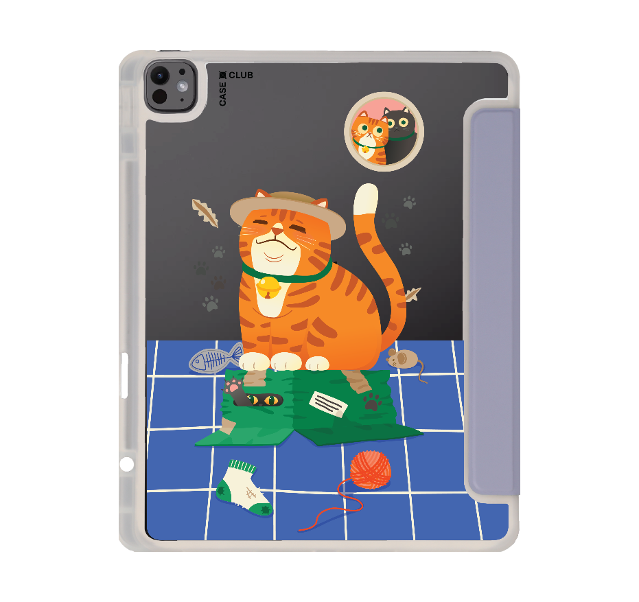 orange cat on the box